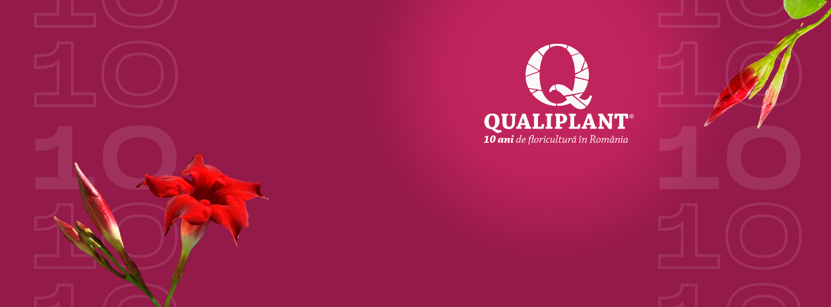 Qualiplant cover